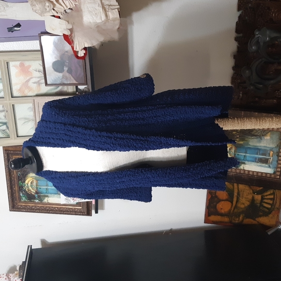 Womens Blue Knit Sweater open front Size Large BCBG MAXAZRIA - Picture 7 of 14